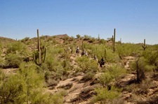 USA-Arizona-Historic Arizona Guest Ranch